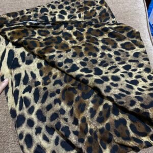 Leopard 2